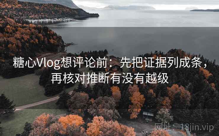糖心Vlog想评论前：先把证据列成条，再核对推断有没有越级